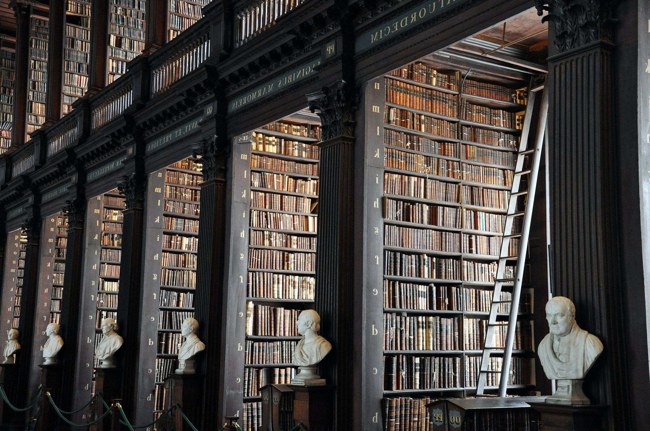 图书馆 with books on black shelves and busts in front of pillars. Taken by Alex Block